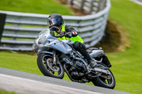 PJ-Motorsport-2019;anglesey;brands-hatch;cadwell-park;croft;donington-park;enduro-digital-images;event-digital-images;eventdigitalimages;mallory;no-limits;oulton-park;peter-wileman-photography;racing-digital-images;silverstone;snetterton;trackday-digital-images;trackday-photos;vmcc-banbury-run;welsh-2-day-enduro